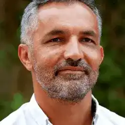 The Genius Song Reviews-3